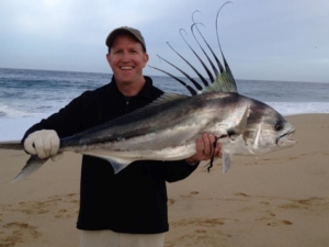 Lane's Rooster fish