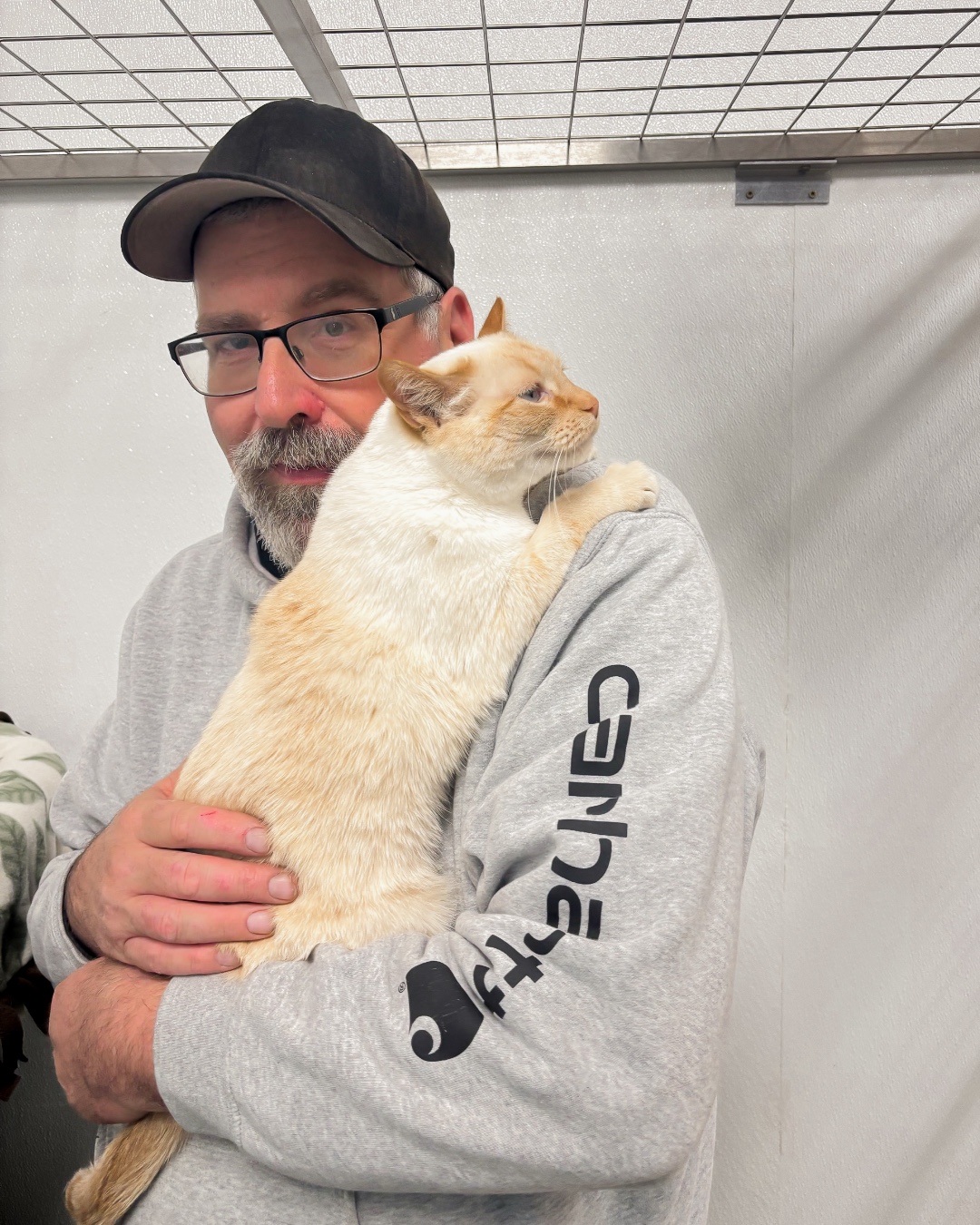 Tailwind Group employee volunteering at a local animal shelter and holding a cat